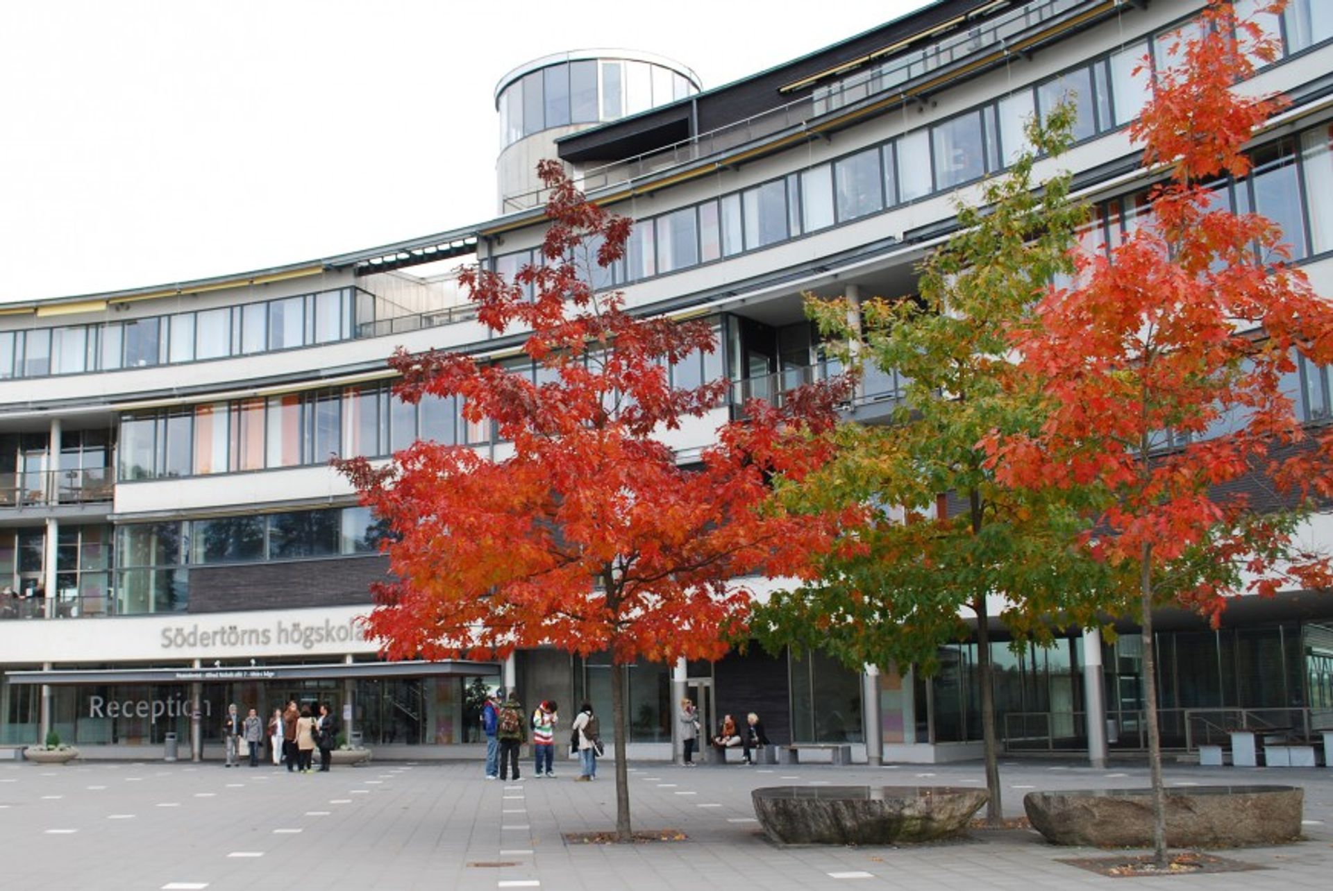 Leadership for Sustainable Development; Master's programme Sociology