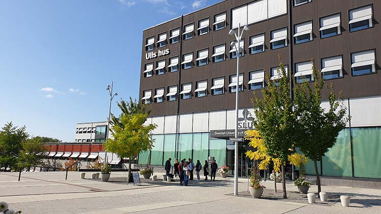 Plant Biology for Sustainable Production, Master's Programme
